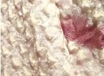 haori shibori antk lila shiboritechnik dieser jacke stark vergrößert