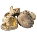 shiitake pilze XXL getrocknet