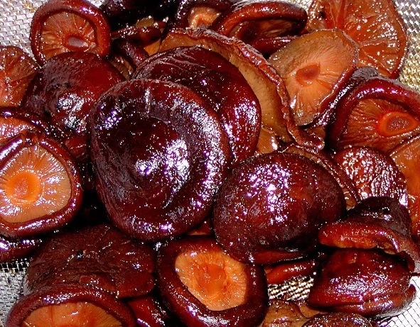 shiitake pilze mariniert und gegart