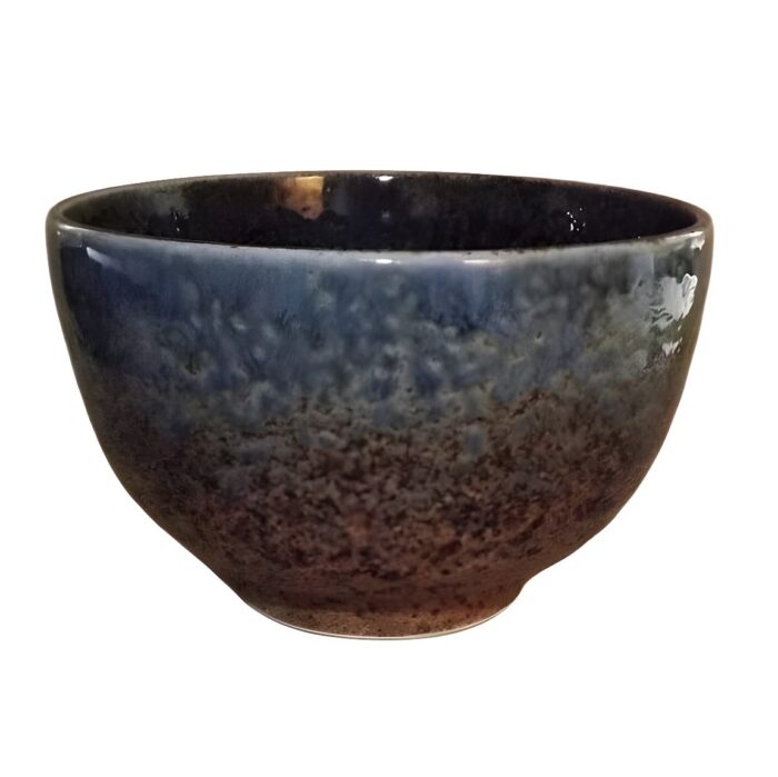 Donburi Schale Chairo 1