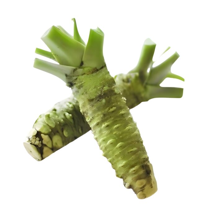 Frischer Wasabi aus Japan - verschiedene Gewichtsklassen – Bild 1