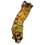 Frischer Wasabi aus Japan - verschiedene Gewichtsklassen – Bild 10
