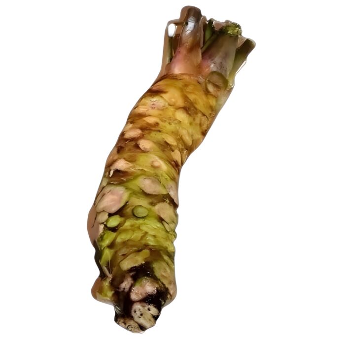 Frischer Wasabi aus Japan - verschiedene Gewichtsklassen – Bild 10