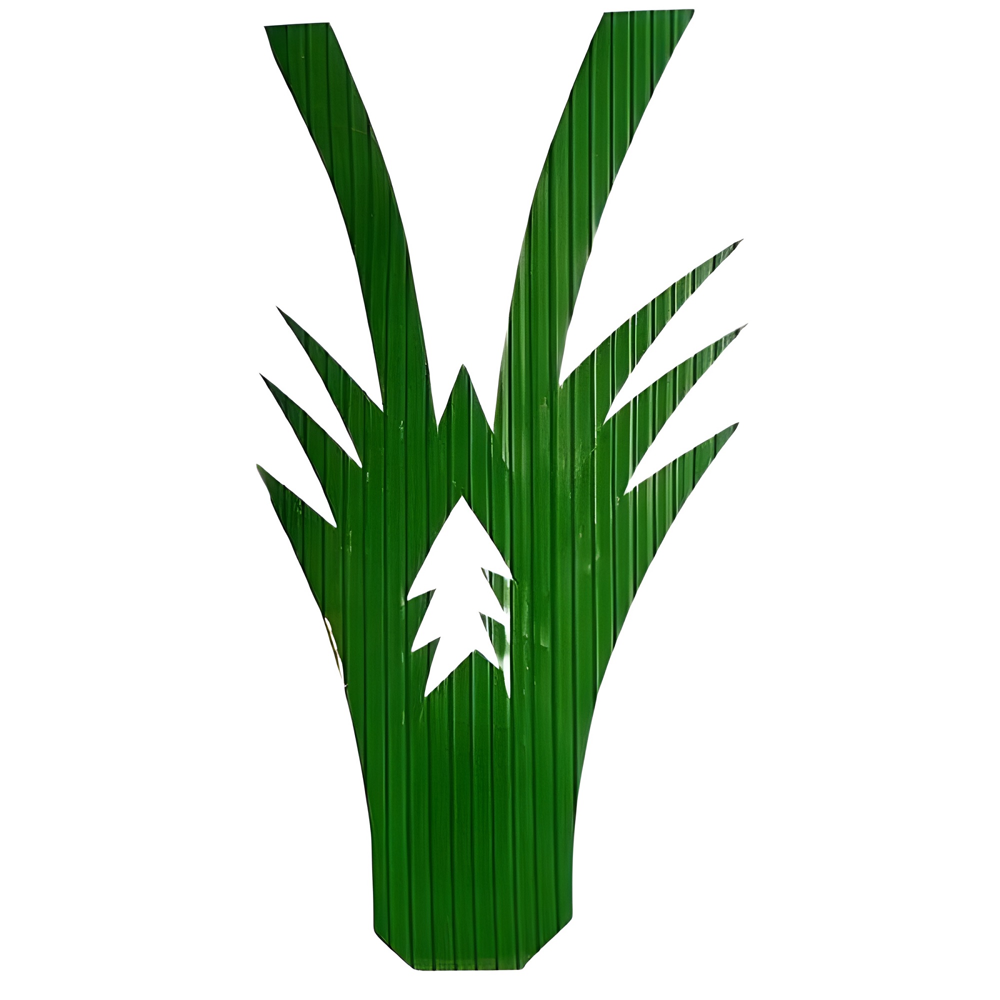 baran ebigata baran ebigata