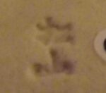 teller oribe uchiwa unterseite signum