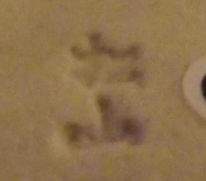 teller oribe uchiwa unterseite signum teller oribe uchiwa unterseite signum