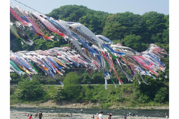 Koinobori 200 cm aoi 3