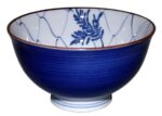bowls dentotekna fünfer blau innen netzlinien und zweige auf einer seite