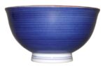 bowls dentotekna fünfer blau ohne dekor