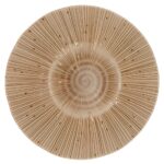 kaiseki schale-teller tampopo innenansicht