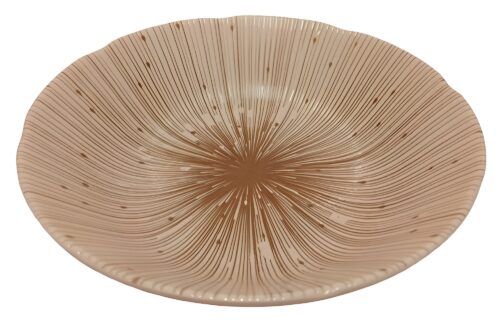 kaiseki schale-teller tampopo schräg von oben