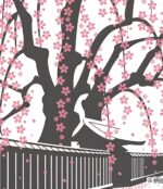 tenugui sakura shiro ausschnitt