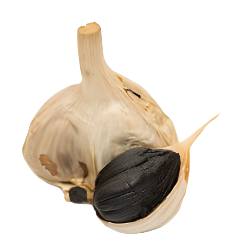 Schwarzer Knoblauch 3