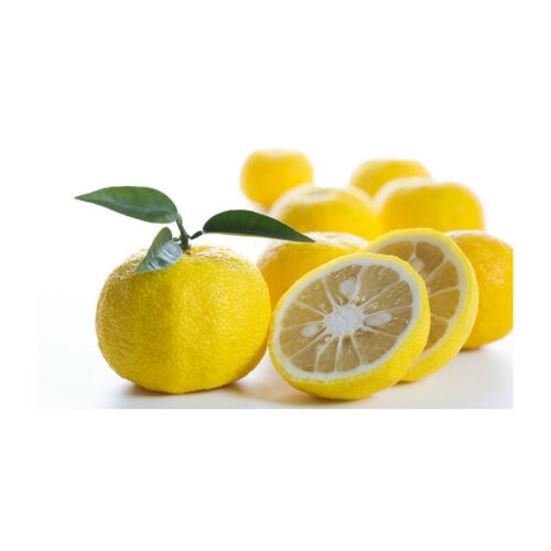 Yuzu-Frucht