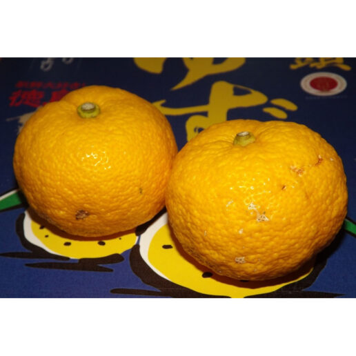 Frische YUZU Früchte aus Japan 3 Stück NAGOMI