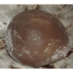 Premium Soja-Mochi Kuri 40g