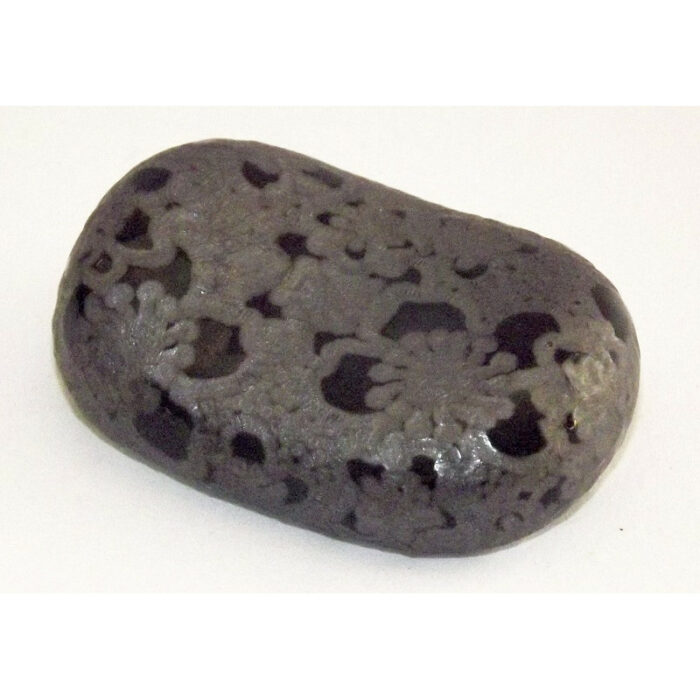 Hashioki Ume Kuroi 1