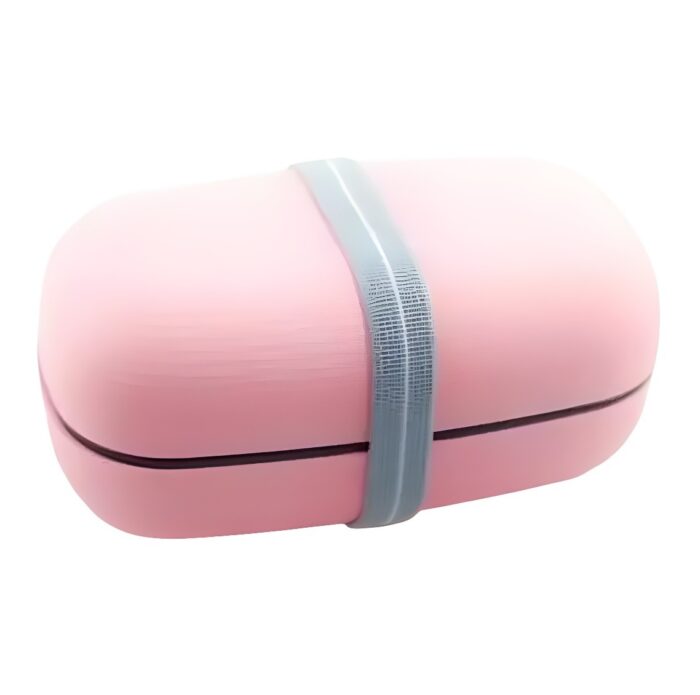 Bento Box Samon 500 ml 1