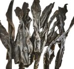 Wilder Hidaka Kombu Premium Okui Kaseido 100g