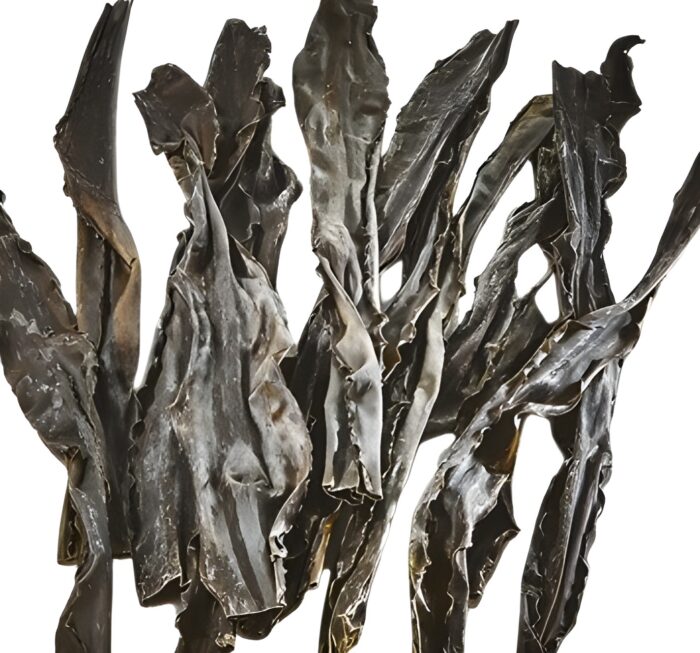 Wilder Hidaka Kombu Premium Okui Kaseido 100g – Bild 1