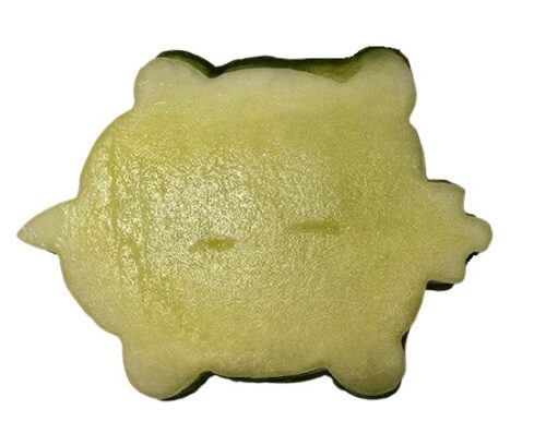 ausstecher kame aus gurke gestochen