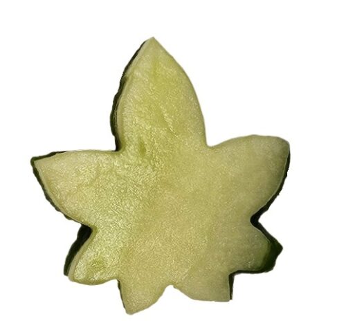 ausstecher momiji aus gurke gestochen