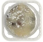 mame daifuku mochi innenverpackung